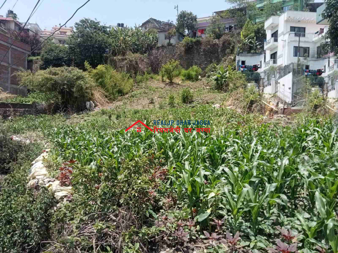 Land on Sale at Basundhara | Ghar Jagga Basundhara